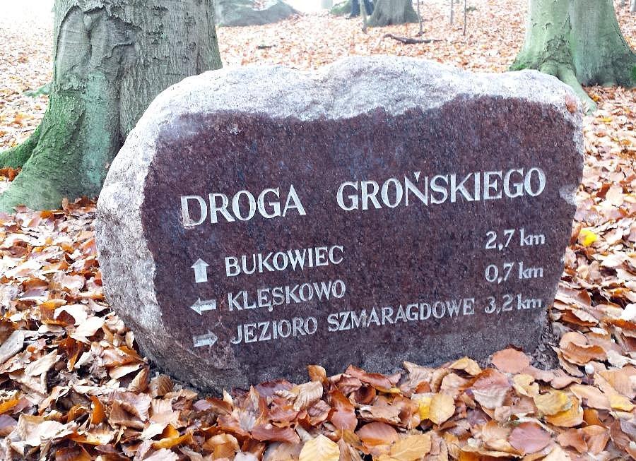 Droga Grońskiego