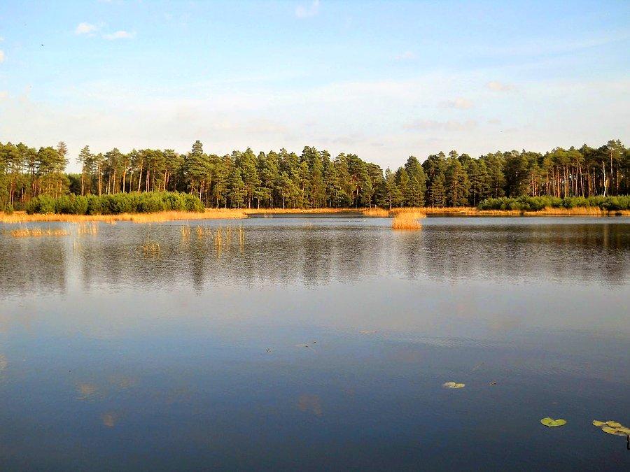 Okolica dzisiejszego ogniska