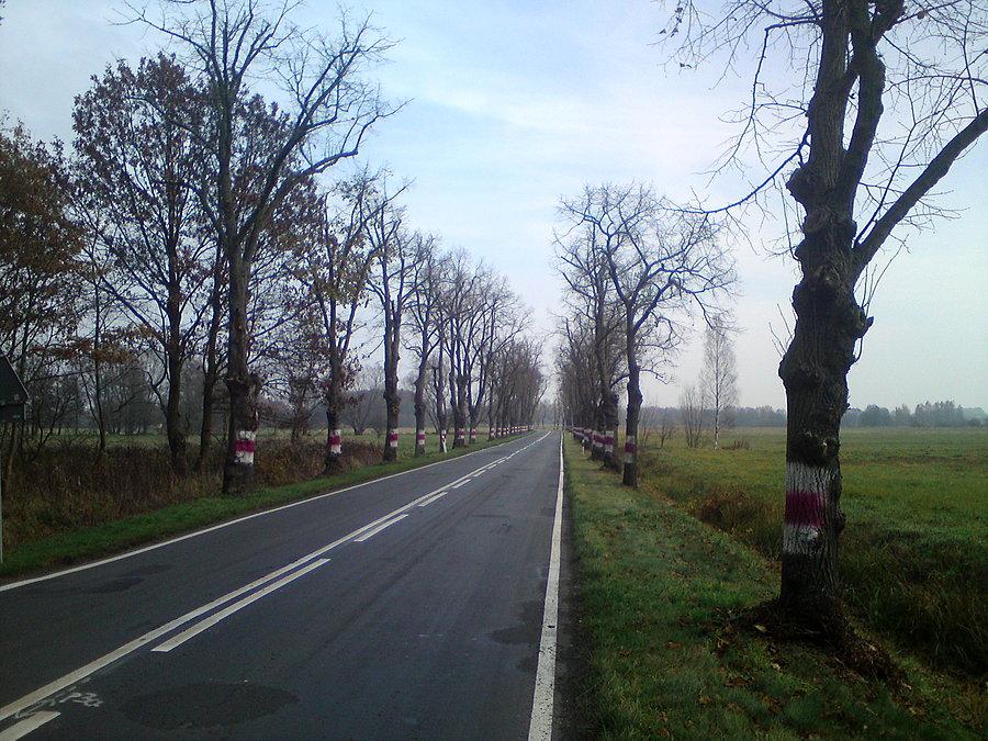 Tuż przed Wołowem