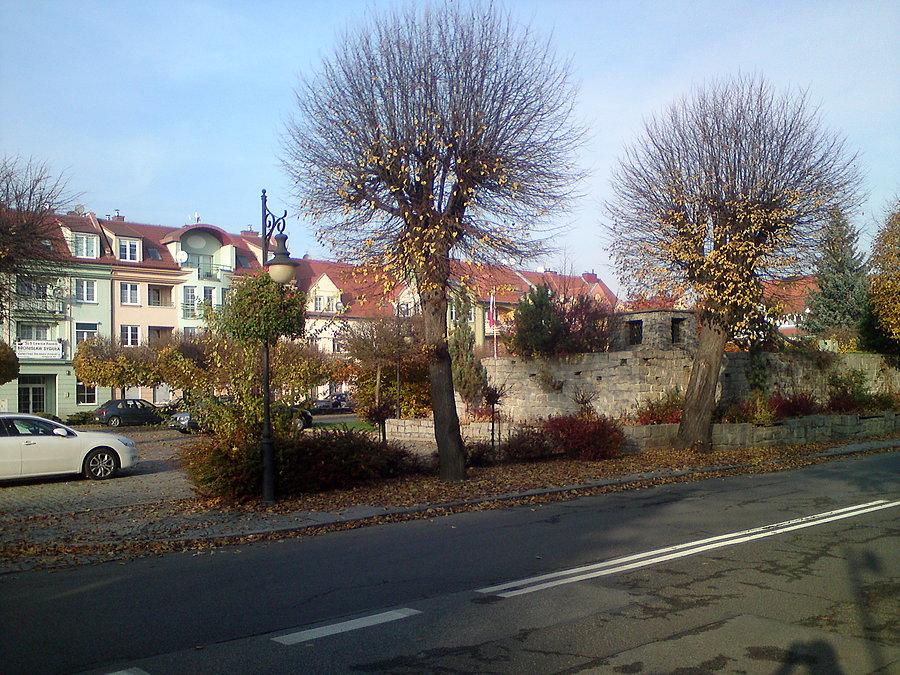 Brzeg Dolny