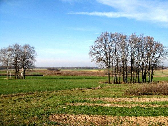 Widok na pola koło Osowy