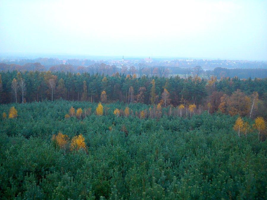 Panorama Osiecznej z Jagody