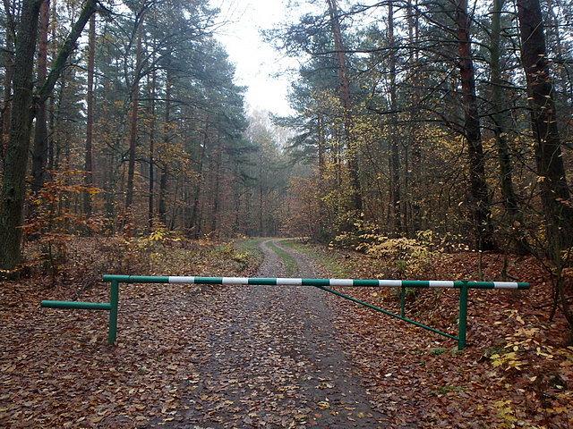 Za tym szlabanem jest mój ulubiony odcinek szlaku, czyli prowadzący przez las