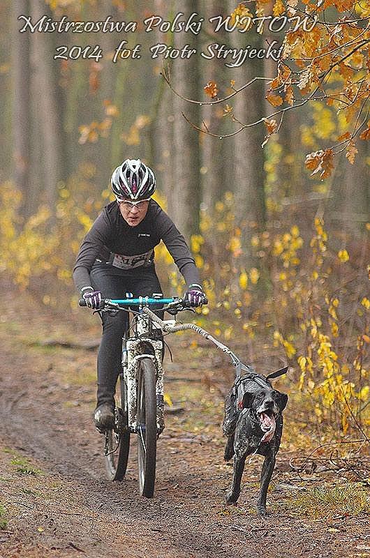 Mistrzostwa Polski w Bikejoring