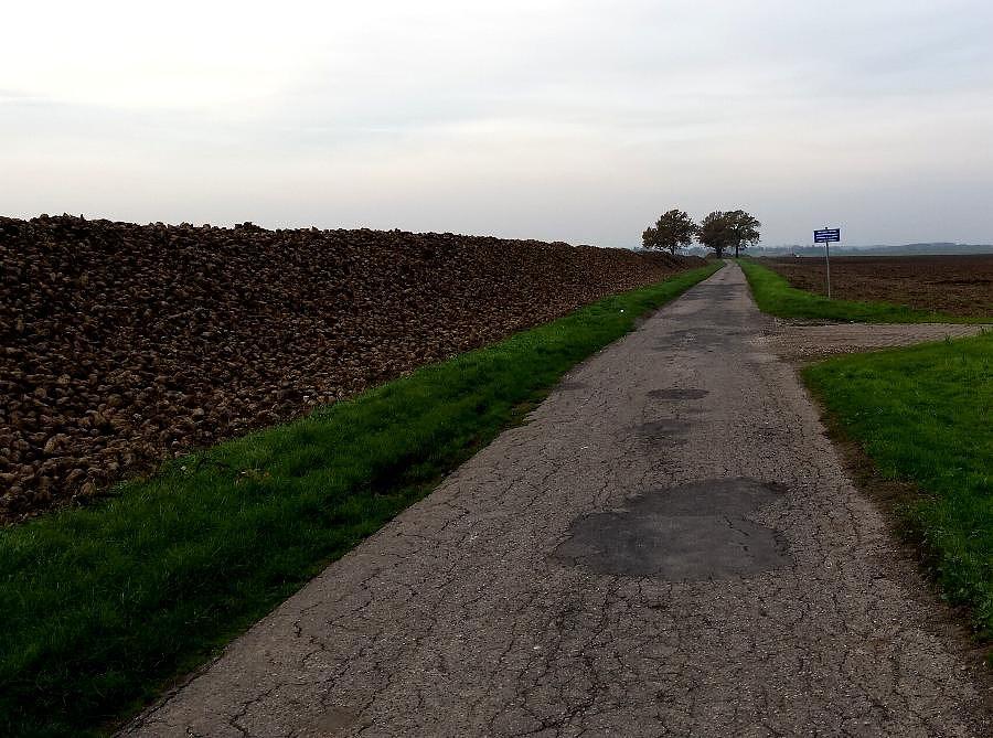 Buraczana ulica w strone Koszewa