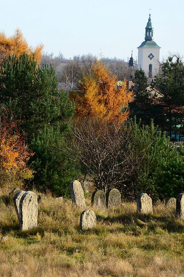 Żarki, kirkut