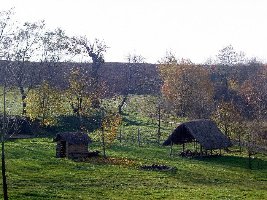 Gród we Włodzieninie