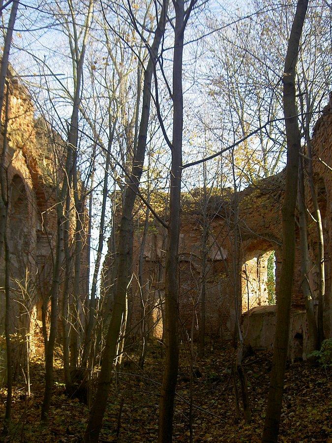 Wnętrze kościoła w wojnowicach