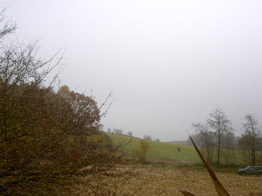 Hubertusa było, strzelanie do bażantów