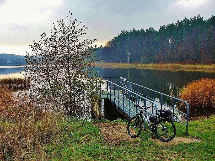 Jesień na rowerze. Okolice Tczewa