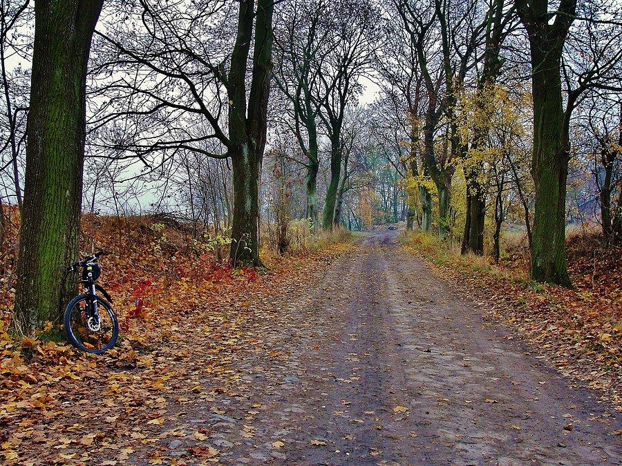 Jesień na rowerze. Okolice Tczewa