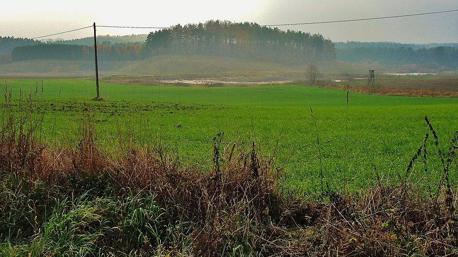 Jesień na rowerze. Okolice Tczewa