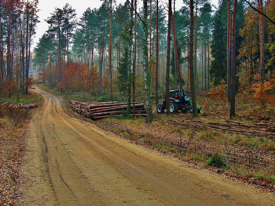 Jesień na rowerze. Okolice Tczewa