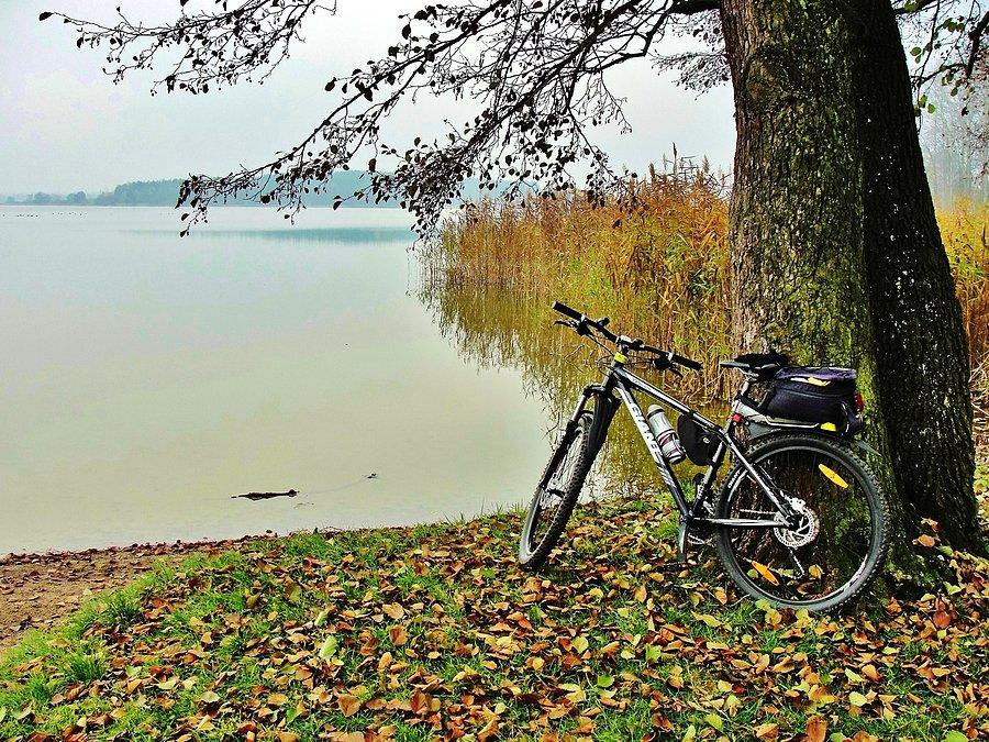 Jesień na rowerze. Okolice Tczewa