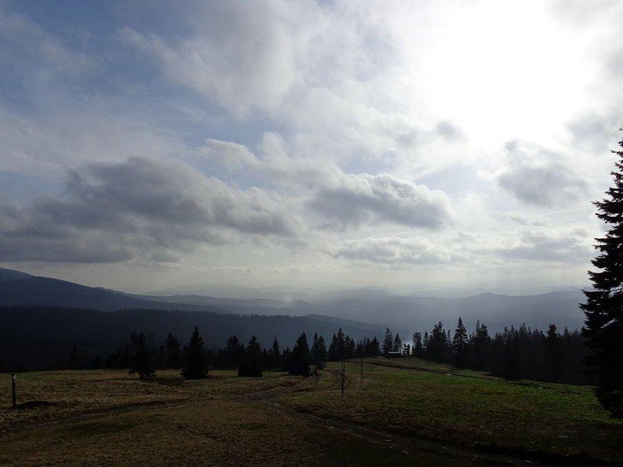 Widoki z hali