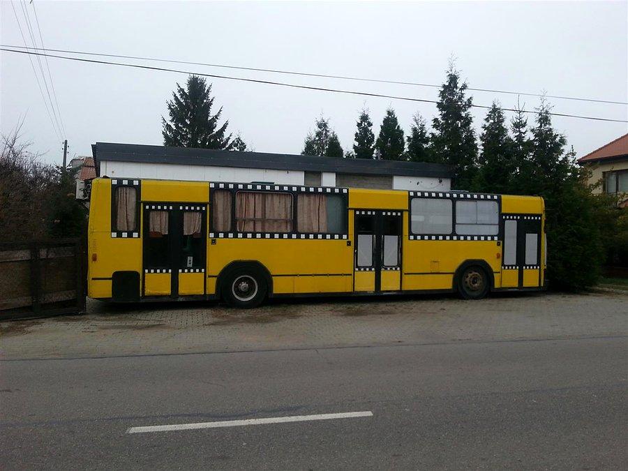 Mistrz świata w parkowaniu