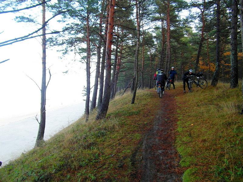 Trzeba uważać na konary