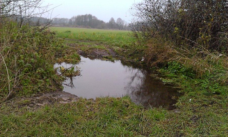 Przeszkoda na drodze