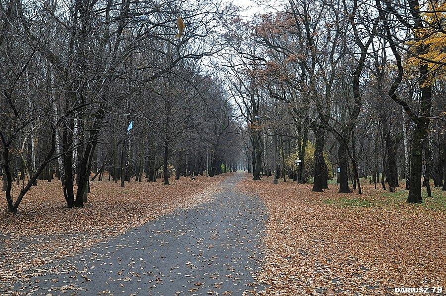 Dąbrowa Górnicza - Park Zielona