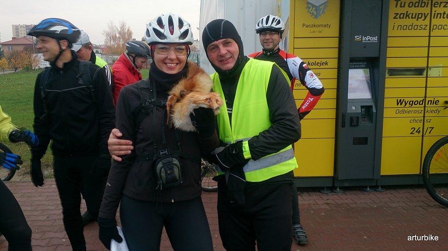 Lisica I Tczewskiego Rowerowego Hubertusa
