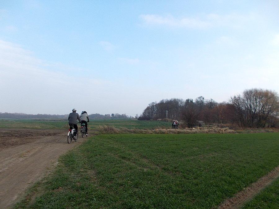 Na Modrzewinie