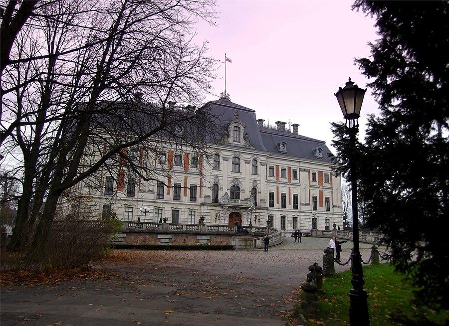 Zamek w Pszczynie