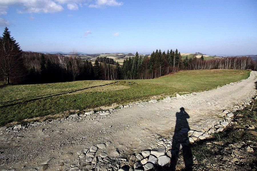 Wzgórza nad Starym Sączem