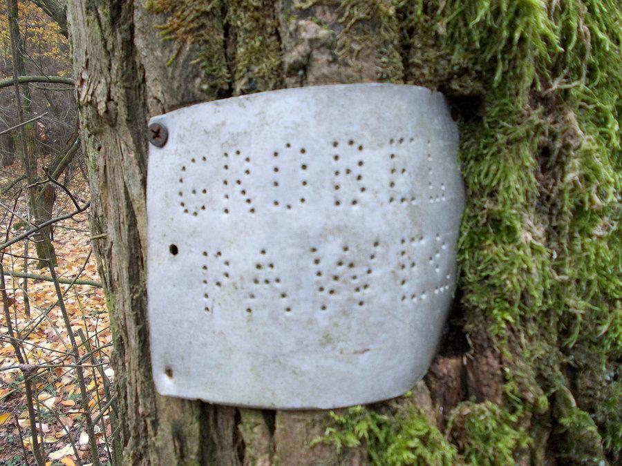 Bonów 5