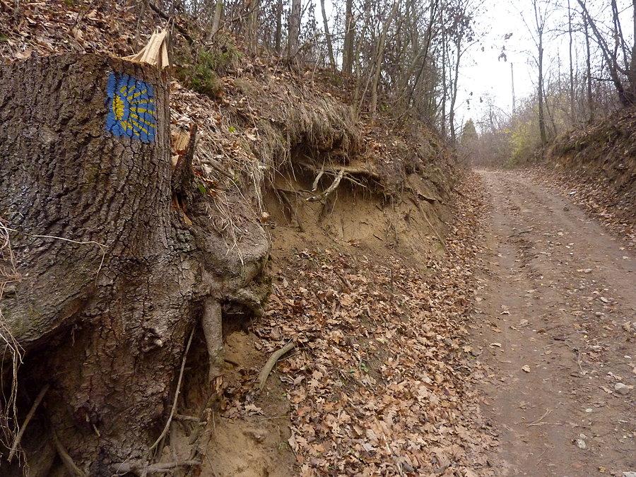 Na szlaku św. Jakuba. Okolice Czerwińska nad Wisłą