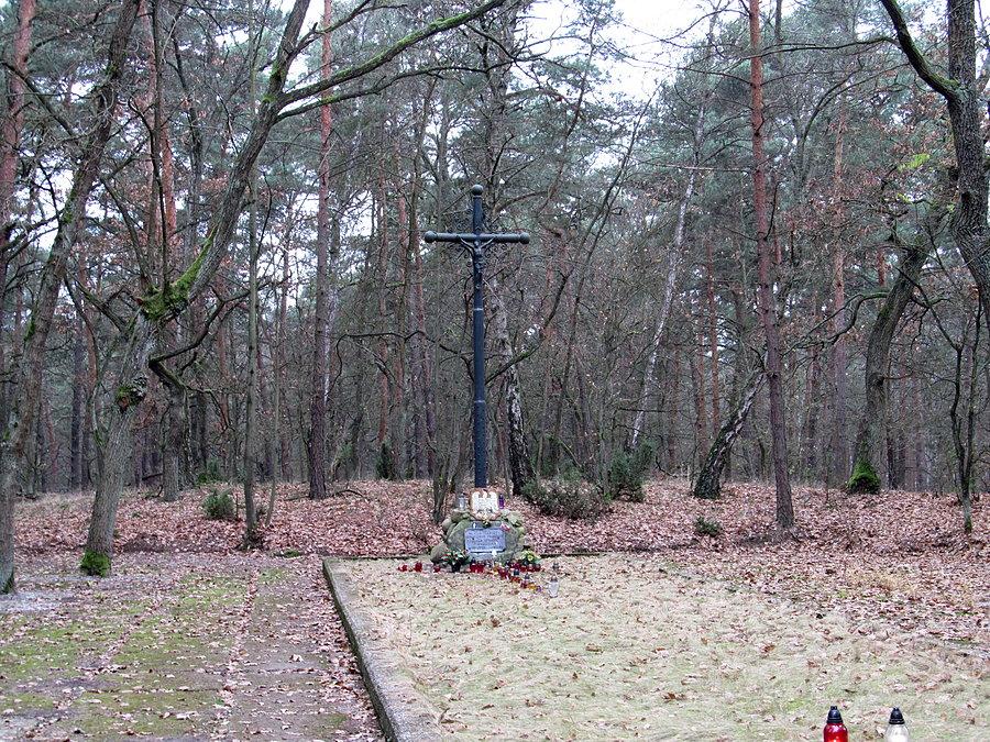 Zaborów Leśny - mogiła powstańców styczniowych