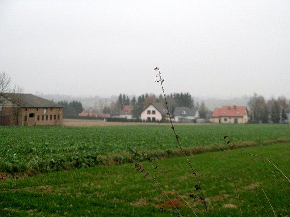 Widok na Głusk