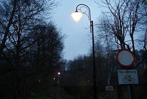 Niedaleko staję, by zaobserwować czy bóbr nie wypłynie