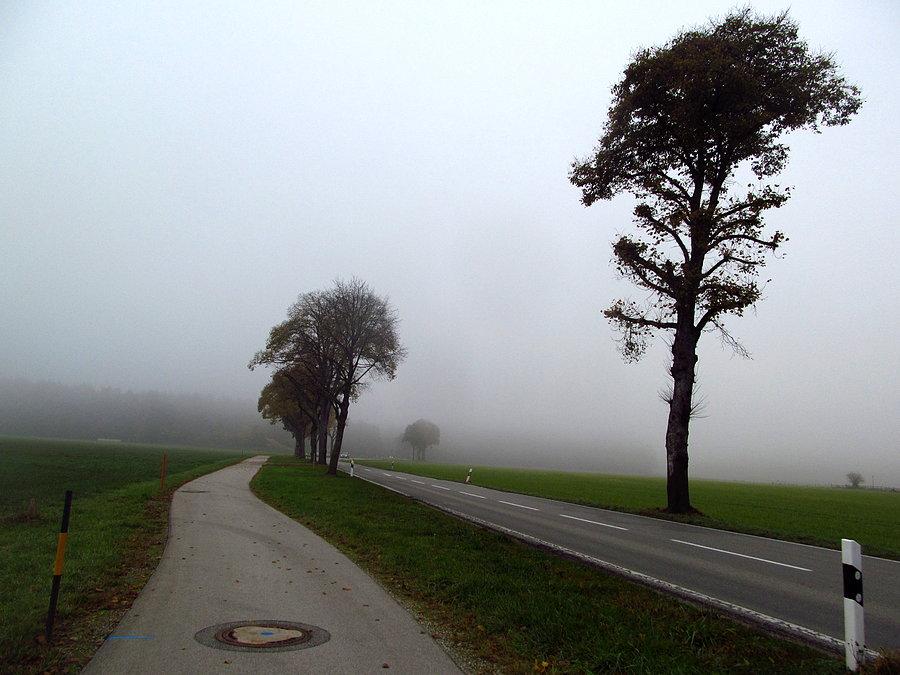 Wreszcie do przodu, ale we mgle
