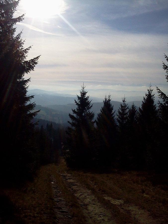 Zjazd do schroniska