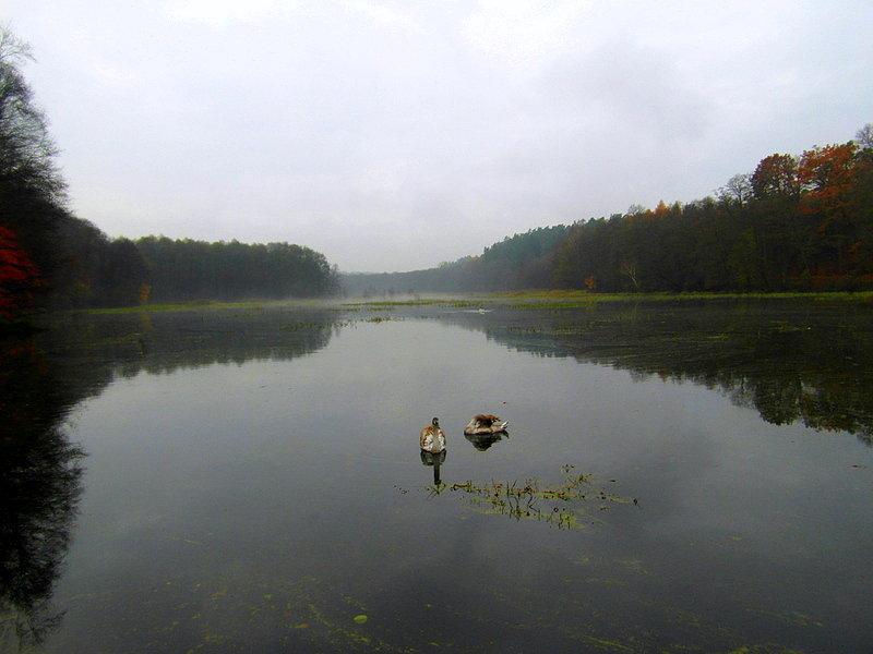 Młynki -poranny widoczek