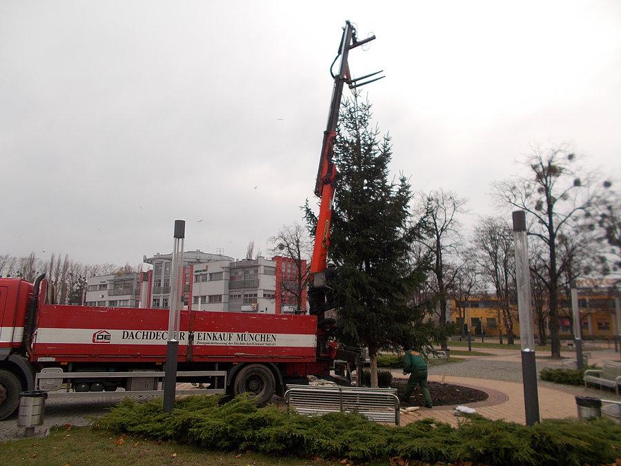 Montaż choinki na Placu Dworcowym