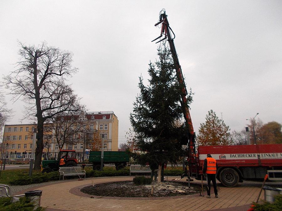 Montaż choinki na Placu Dworcowym