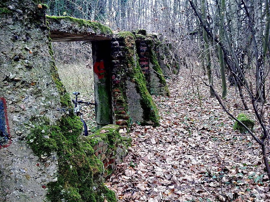 Resztki strzelnicy w Lasku Aniołowskim II