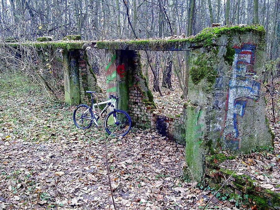 Resztki strzelnicy w Lasku Aniołowskim I