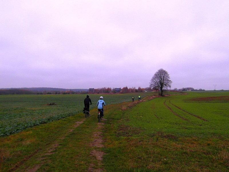 Przez pola