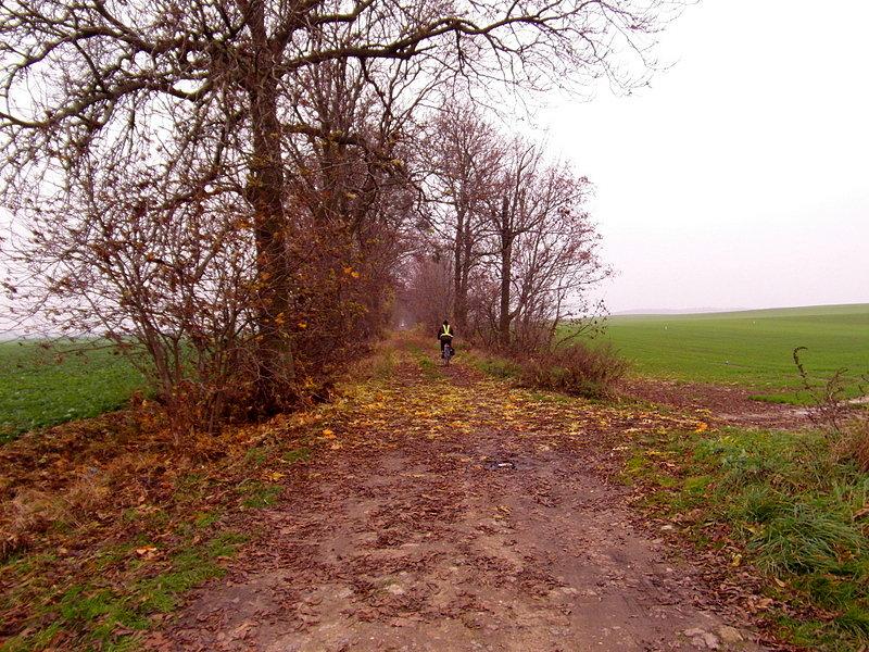 Nieuczęszczana droga prowadząca do Świetlikowa