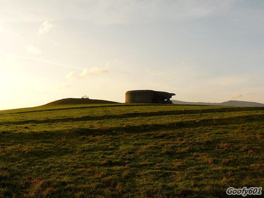 Fort "Wyrwidąb"