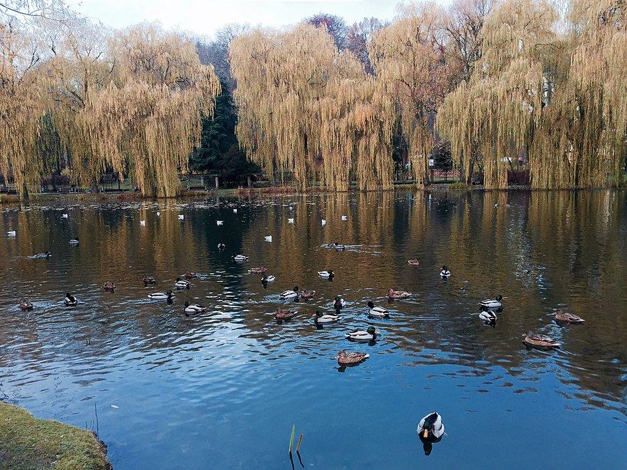 Piękny park Gdańsk Orunia mnie zadziwił