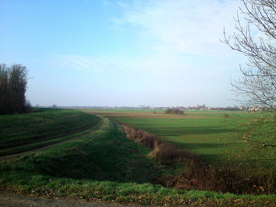 Słonecznie