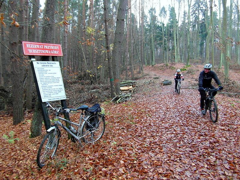 Rezerwat "Bursztynowa Góra"