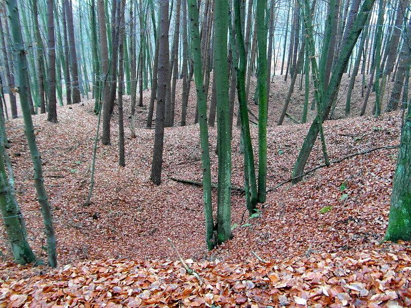 Pofałdowany teren