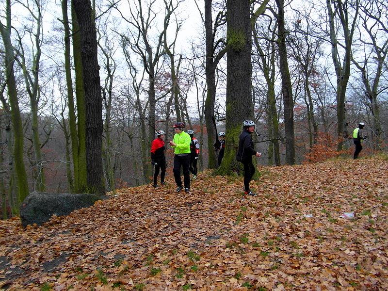 Góra Pięciu Braci - Park na Oruni