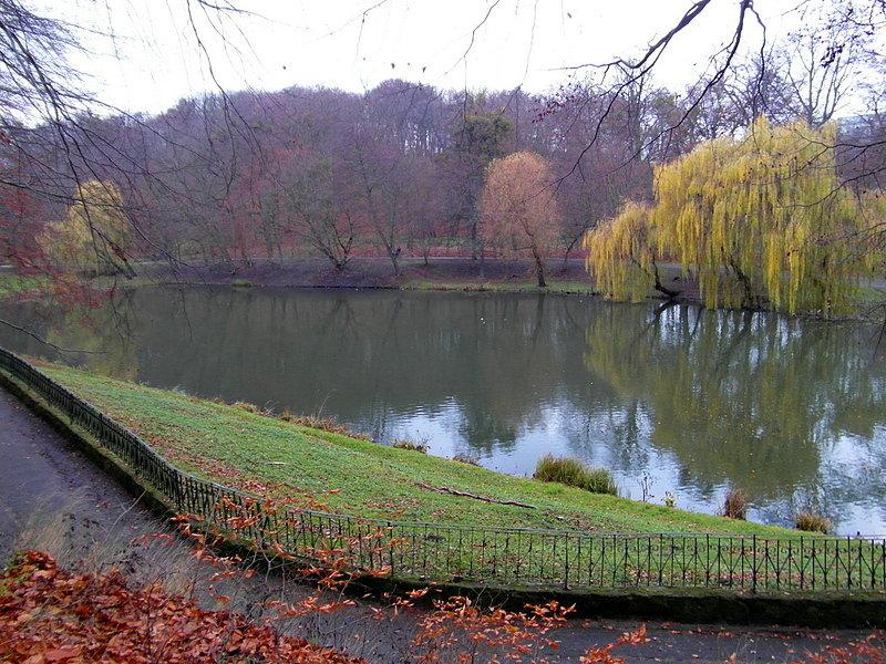 Staw w oruńskim parku