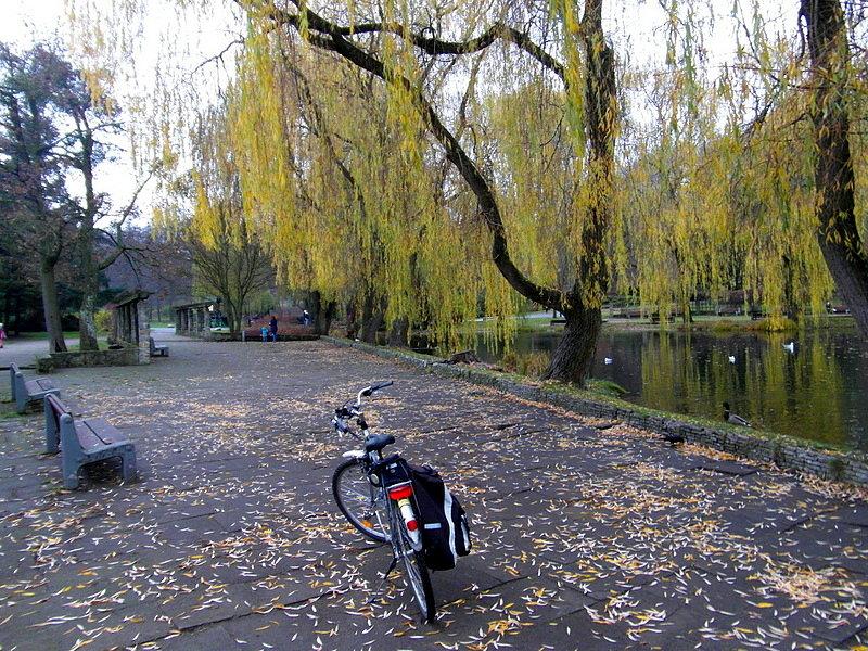 Oruński park jesienią
