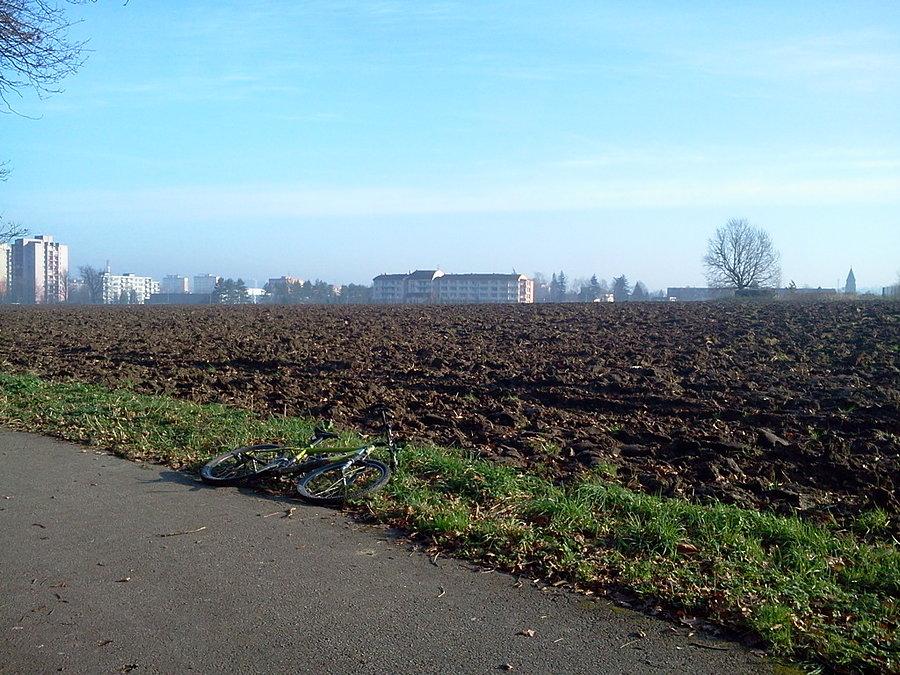 Ropik w ruinie w Czeskim Cieszynie